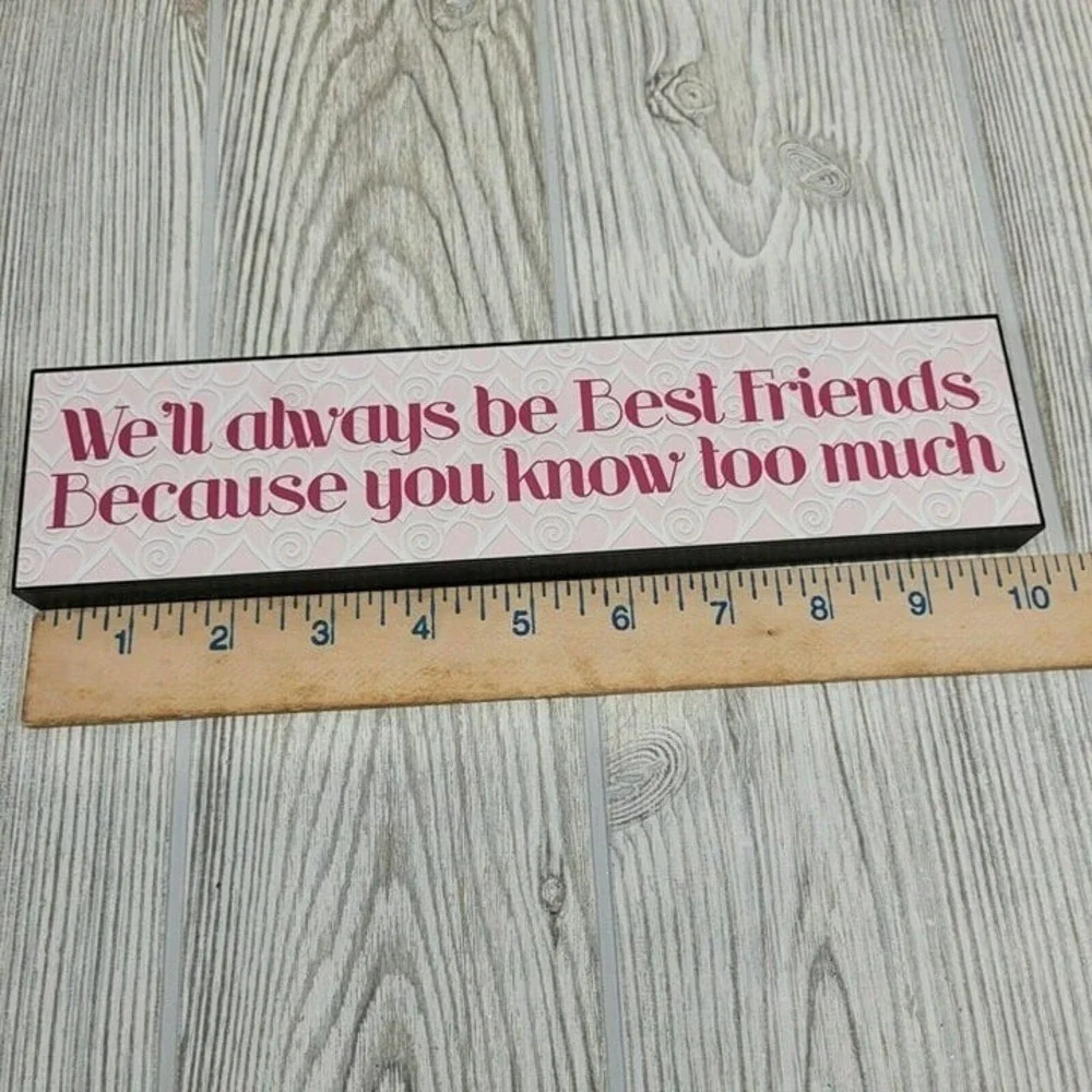 Wood Box Sign Best Friends Pink Funny‎ Friendship Quote 9.5 Inch
